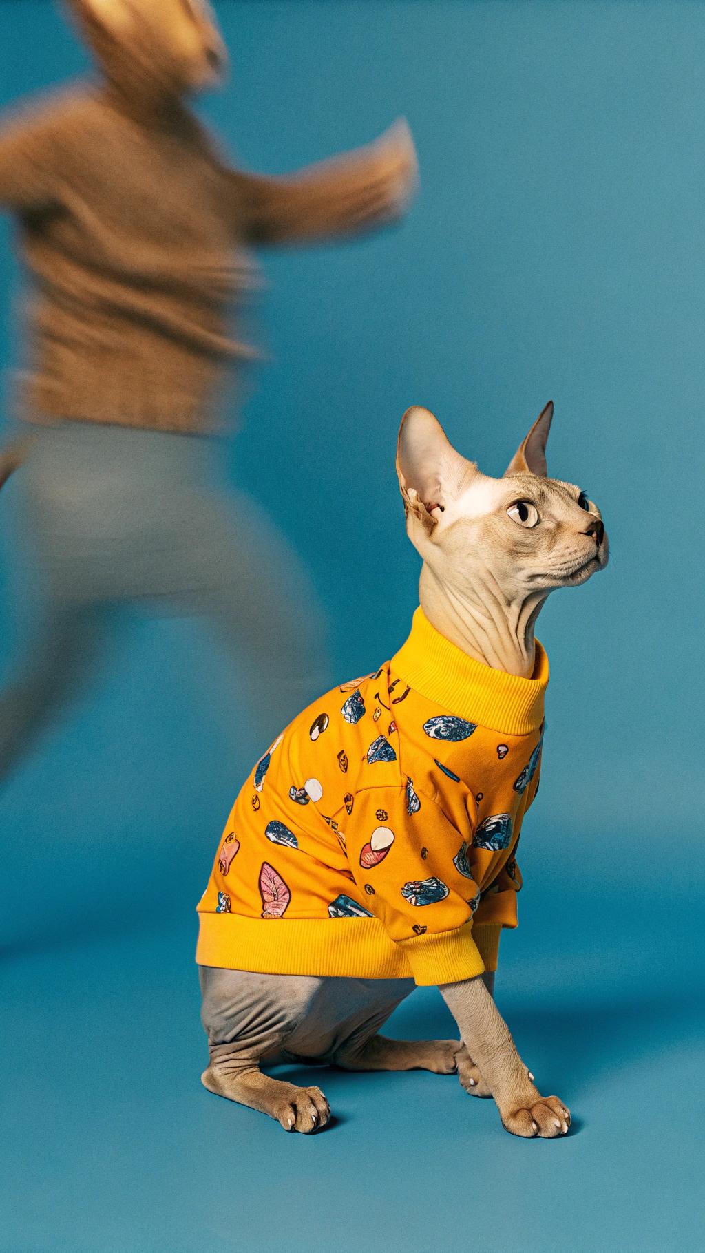 The sweater features a vibrant yellow hue with an abstract pattern of various food items, including pizza slices, hot dogs, and ice cream cones.
**A Reward for Good Behavior**
This stylish ensemble was awarded to the feline for its exceptional behavior during a family gathering. The cat's calm demeanor and ability to tolerate numerous pets from enthusiastic children earned it this fashionable prize.